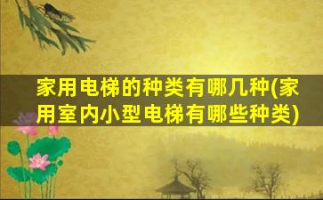 家用电梯的种类有哪几种(家用室内小型电梯有哪些种类)