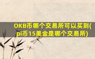 OKB币哪个交易所可以买到(pi币15美金是哪个交易所)