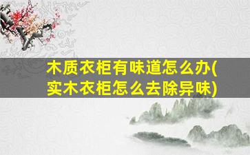 木质衣柜有味道怎么办(实木衣柜怎么去除异味)