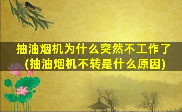 抽油烟机为什么突然不工作了(抽油烟机不转是什么原因)