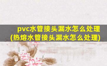 pvc水管接头漏水怎么处理(热熔水管接头漏水怎么处理)