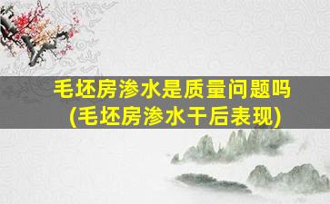 毛坯房渗水是质量问题吗(毛坯房渗水干后表现)