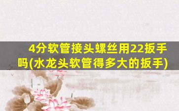 4分软管接头螺丝用22扳手吗(水龙头软管得多大的扳手)