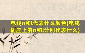 电线n和l代表什么颜色(电线插座上的n和l分别代表什么)