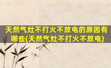 天然气灶不打火不放电的原因有哪些(天然气灶不打火不放电)