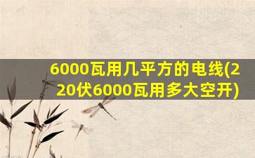 6000瓦用几平方的电线(220伏6000瓦用多大空开)