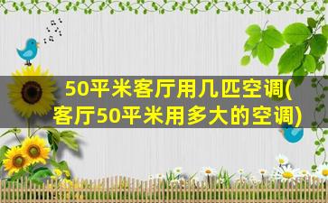 50平米客厅用几匹空调(客厅50平米用多大的空调)