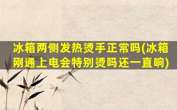 冰箱两侧发热烫手正常吗(冰箱刚通上电会特别烫吗还一直响)