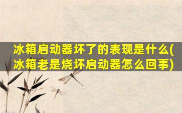 冰箱启动器坏了的表现是什么(冰箱老是烧坏启动器怎么回事)