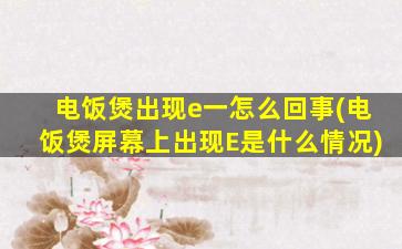 电饭煲出现e一怎么回事(电饭煲屏幕上出现E是什么情况)