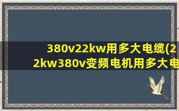 380v22kw用多大电缆(22kw380v变频电机用多大电缆)