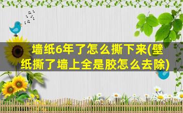 墙纸6年了怎么撕下来(壁纸撕了墙上全是胶怎么去除)