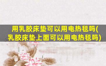 用乳胶床垫可以用电热毯吗(乳胶床垫上面可以用电热毯吗)
