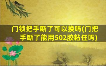 门锁把手断了可以换吗(门把手断了能用502胶粘住吗)