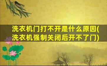 洗衣机门打不开是什么原因(洗衣机强制关闭后开不了门)