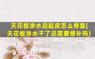 天花板渗水后起皮怎么修复(天花板渗水干了还需要修补吗)