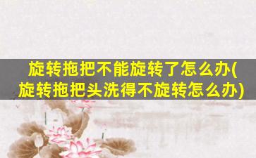 旋转拖把不能旋转了怎么办(旋转拖把头洗得不旋转怎么办)