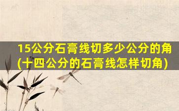 15公分石膏线切多少公分的角(十四公分的石膏线怎样切角)