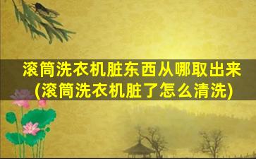 滚筒洗衣机脏东西从哪取出来(滚筒洗衣机脏了怎么清洗)