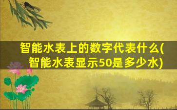 智能水表上的数字代表什么(智能水表显示50是多少水)