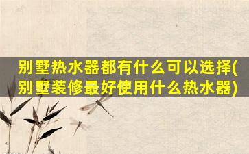 别墅热水器都有什么可以选择(别墅装修最好使用什么热水器)