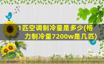 1匹空调制冷量是多少(格力制冷量7200w是几匹)
