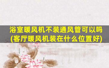 浴室暖风机不装通风管可以吗(客厅暖风机装在什么位置好)