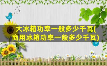 大冰箱功率一般多少千瓦(商用冰箱功率一般多少千瓦)