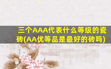 三个AAA代表什么等级的瓷砖(AA优等品是最好的砖吗)