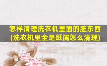 怎样清理洗衣机里面的脏东西(洗衣机里全是纸屑怎么清理)