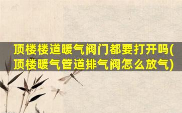 顶楼楼道暖气阀门都要打开吗(顶楼暖气管道排气阀怎么放气)