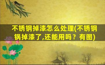 不锈钢掉漆怎么处理(不锈钢锅掉漆了,还能用吗？有图)
