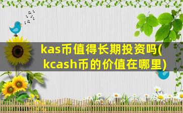 kas币值得长期投资吗(kcash币的价值在哪里)