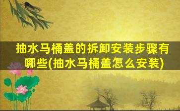 抽水马桶盖的拆卸安装步骤有哪些(抽水马桶盖怎么安装)