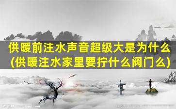 供暖前注水声音超级大是为什么(供暖注水家里要拧什么阀门么)