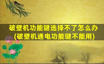 破壁机功能键选择不了怎么办(破壁机通电功能键不能用)