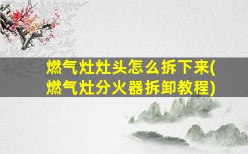 燃气灶灶头怎么拆下来(燃气灶分火器拆卸教程)