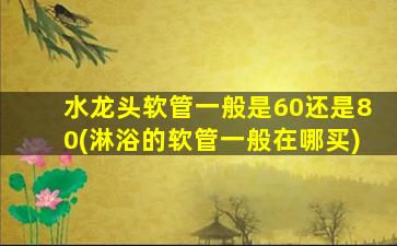 水龙头软管一般是60还是80(淋浴的软管一般在哪买)