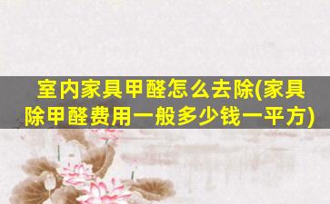 室内家具甲醛怎么去除(家具除甲醛费用一般多少钱一平方)