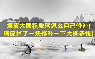 墙皮大面积脱落怎么自己修补(墙皮掉了一块修补一下大概多钱)