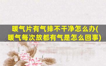 暖气片有气排不干净怎么办(暖气每次放都有气是怎么回事)