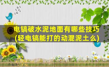 电镐破水泥地面有哪些技巧(轻电镐能打的动混泥土么)