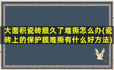 大面积瓷砖膜久了难撕怎么办(瓷砖上的保护膜难撕有什么好方法)
