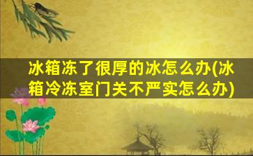 冰箱冻了很厚的冰怎么办(冰箱冷冻室门关不严实怎么办)