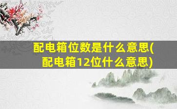 配电箱位数是什么意思(配电箱12位什么意思)