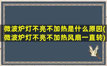 微波炉灯不亮不加热是什么原因(微波炉灯不亮不加热风扇一直转)