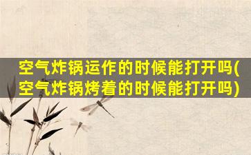 空气炸锅运作的时候能打开吗(空气炸锅烤着的时候能打开吗)