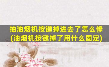 抽油烟机按键掉进去了怎么修(油烟机按键掉了用什么固定)