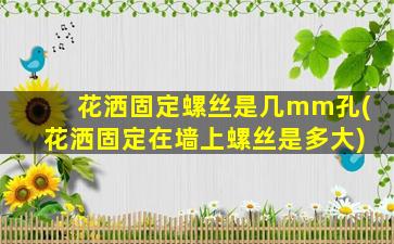 花洒固定螺丝是几mm孔(花洒固定在墙上螺丝是多大)