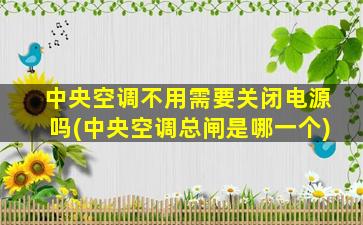 中央空调不用需要关闭电源吗(中央空调总闸是哪一个)